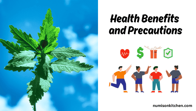 Health Benefits and Precautions